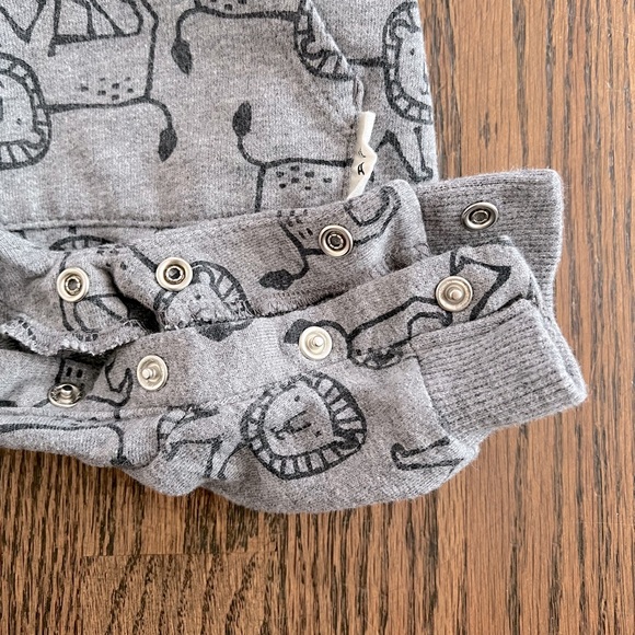 EUC Carter's 2-Piece Lion Print Tee & Overall Set - Gray/Burnt Orange - Newborn - Picture 15 of 16